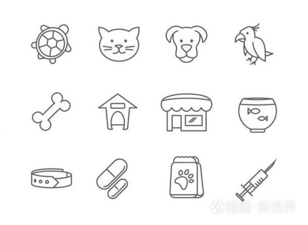 宠物店动物简笔画 动物简笔画图片大全