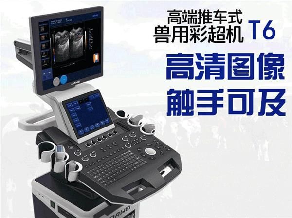 推车式宠物彩超
