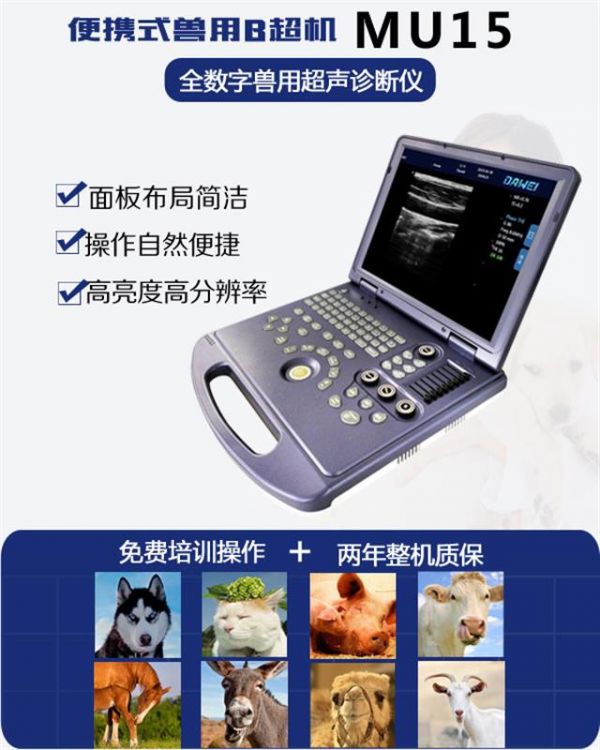 便携式兽用b超机