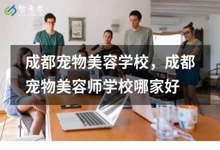 成都宠物美容学校，成都宠物美容师学校哪家好