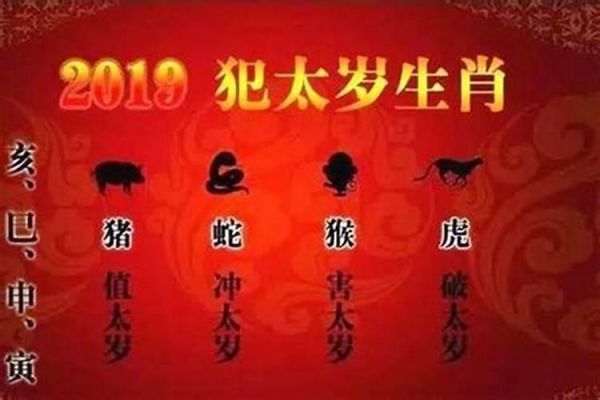 梦见猫死了好吗周公解梦