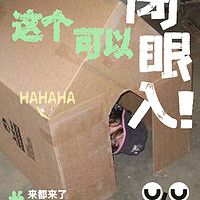 狗狗卫生很重要