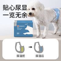 专为公狗设计的尿不湿，更懂宠物需求