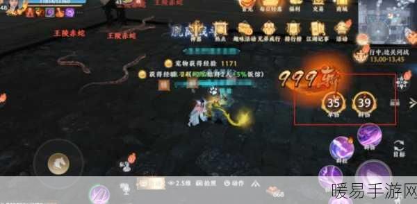 天龙八部2飞龙战天，揭秘宠物繁殖秘籍，打造专属神兽！
