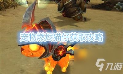 《魔兽世界》宠物燃烬猫仔获取攻略