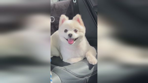 谁懂啊！奶瓶真的太可爱了