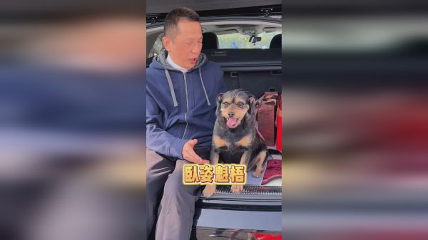 关于斑比的颜值，老爸到底骗没骗斑比？