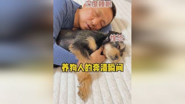 没想到斑比也会让老爸这么烦恼！