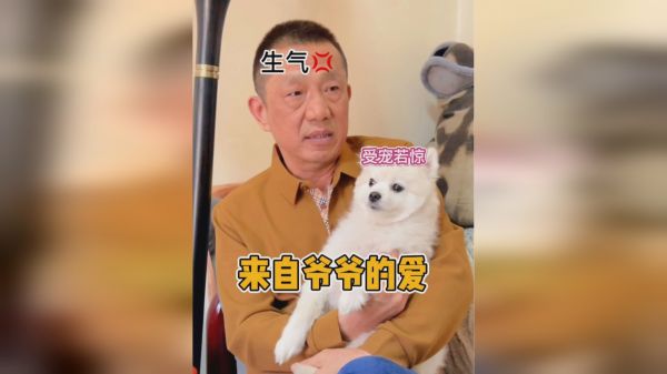 当我爸觉得我欺负他的狗狗后……快气疯了！