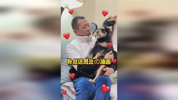 大年初一，斑比好像有点不高兴？？