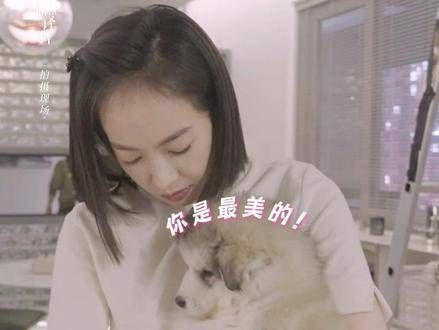 宋茜在片场抱着小狗爱不释手 宋茜