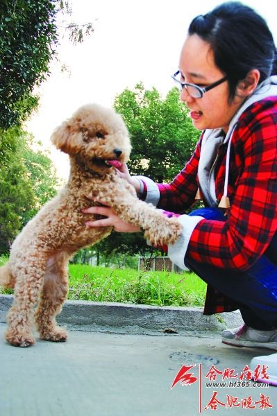 宠物尸体如何处理成难题（图）