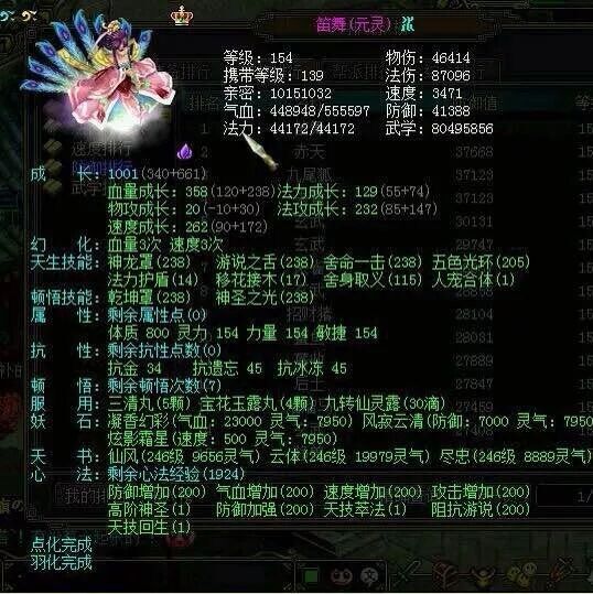 宠物心法经验心得