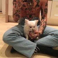 有爱好看的男生与宠物同框暖男头像