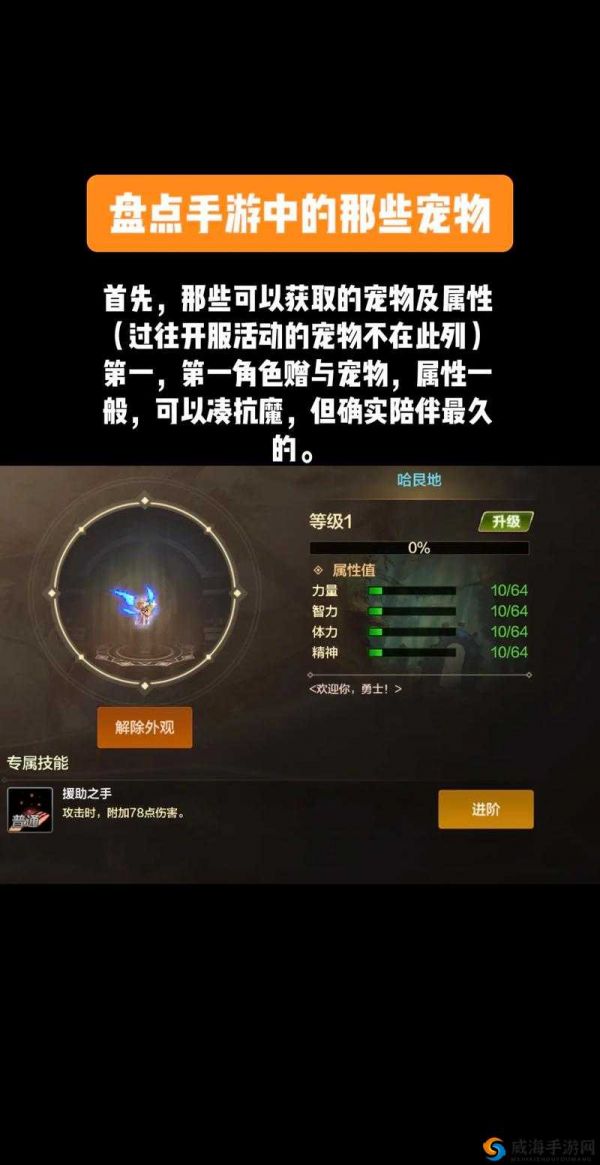 《神鬼幻想》宠物获取途径汇总