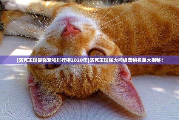 (洛克王国最强宠物排行榜2020年)洛克王国强大神级宠物名单大揭秘！