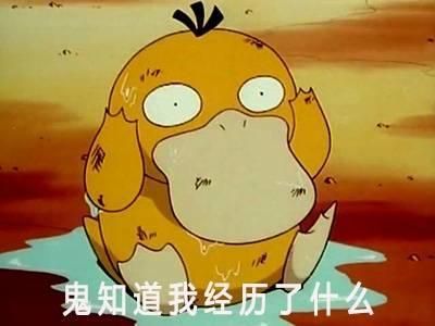 动漫中那些可爱的宠物，看完好想抱回家