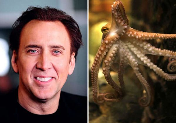 10 Exotic Animals Adopted As Celebrity Pets 4