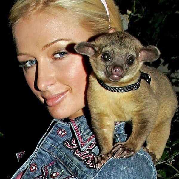 10 Exotic Animals Adopted As Celebrity Pets 3