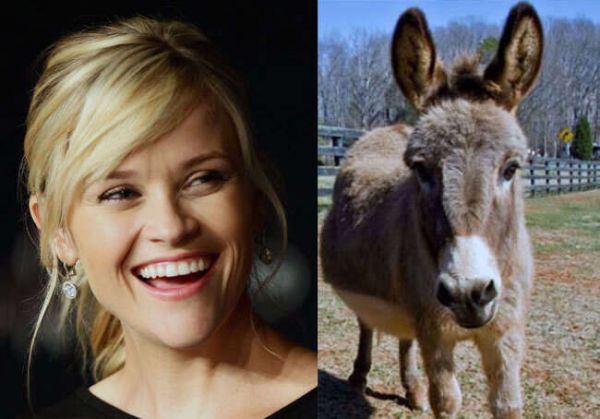 10 Exotic Animals Adopted As Celebrity Pets 6
