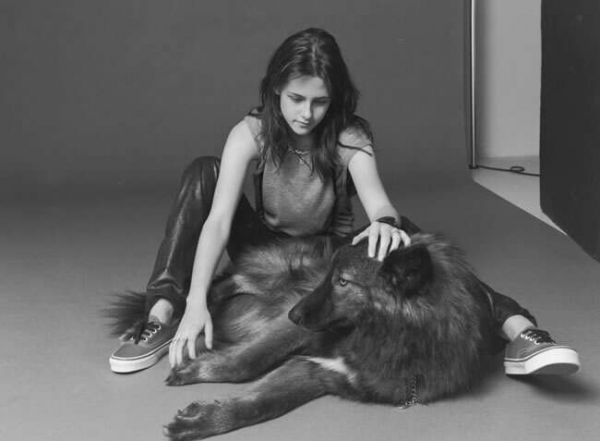 10 Exotic Animals Adopted As Celebrity Pets 9