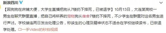 养一只宠物,等于你父母多供了一个孩子上大学