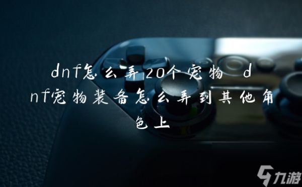dnf怎么弄20个宠物 dnf宠物装备怎么弄到其他角色上