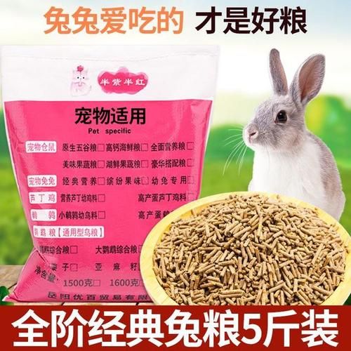 宠物兔吃什么,宠物兔吃什么草为主食