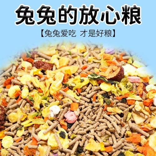 宠物兔吃什么,宠物兔吃什么草为主食