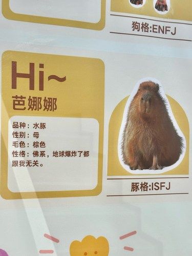 不敢相信这是在泉州。。。。。。