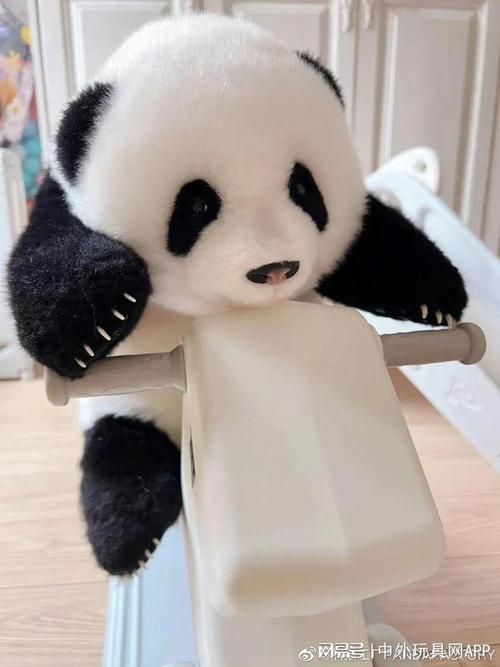 如何选择适合宠物的玩具？