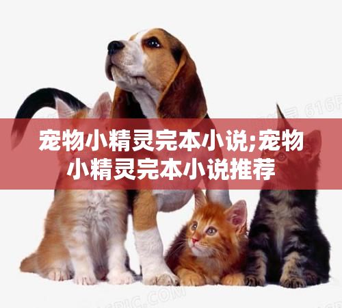 宠物小精灵完本小说;宠物小精灵完本小说推荐
