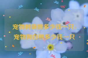宠物树袋熊多少钱一只-宠物狗白熊多少钱一只