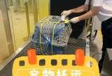 唐山宠物猫托运，隔日到达一口价