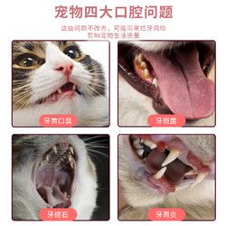 营臻星厨 宠物洁牙粉猫咪狗狗磨牙除黄结石口臭去替代牙膏漱口水