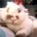 https://p0.meituan.net/userheadpicbackend/143743135a134ac48713556bdd144dfd137605.jpg%40120w_120h_1e_1c_1l%7Cwatermark%3D0