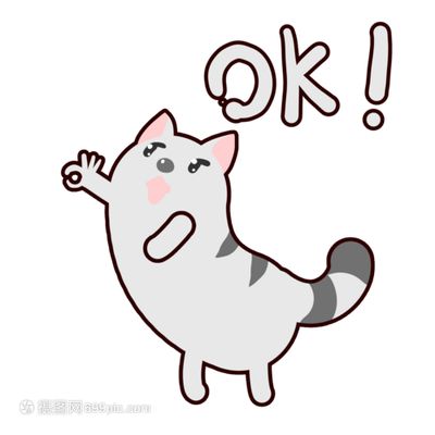以水果给宠物猫起名