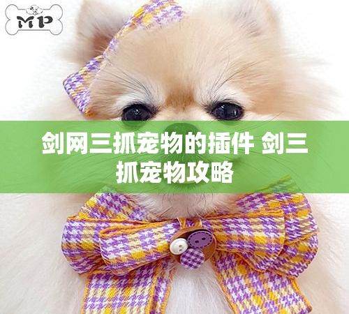 剑网三抓宠物的插件 剑三抓宠物攻略