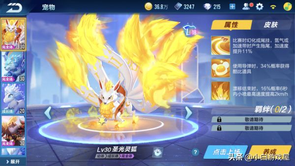 qq飞车手游宠物排行（飞车手游哪些宠物适合跑道具赛）插图2