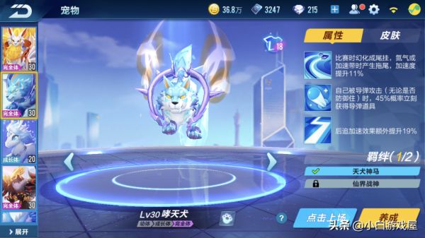 qq飞车手游宠物排行（飞车手游哪些宠物适合跑道具赛）插图3