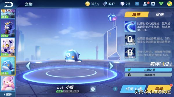 qq飞车手游宠物排行（飞车手游哪些宠物适合跑道具赛）插图5