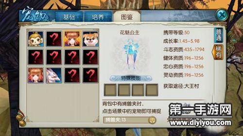 诛仙手游宠物加点攻略加点影响技能伤害