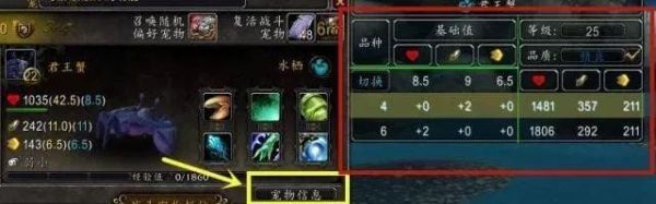 魔兽世界宠物对战哪里小宠物多（魔兽世界宠物对战）2