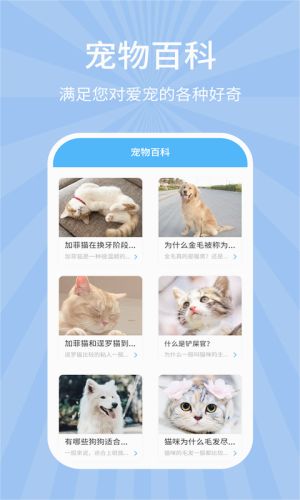 宠物狗猫交流器图片
