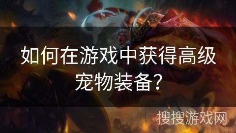 如何在游戏中获得高级宠物装备？