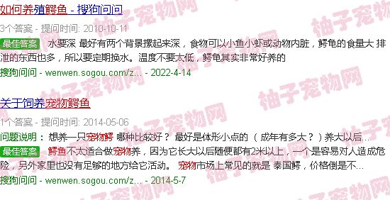 宠物鳄鱼怎么养