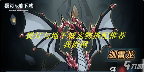 提灯与地下城宠物搭配-提灯与地下城宠物融合攻略