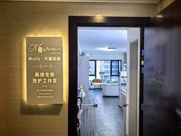 高端宠物洗护工作室