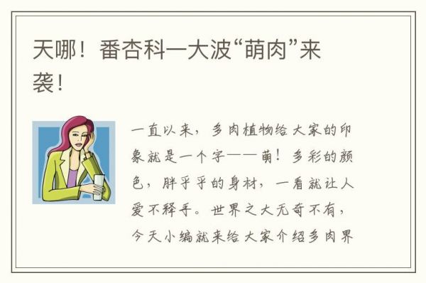 天哪！番杏科一大波“萌肉”来袭！