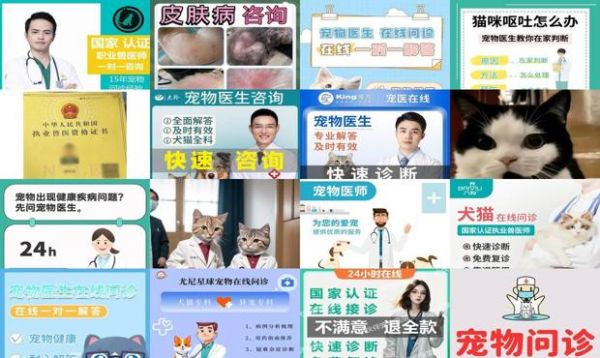 宠物医生在线咨询猫咪